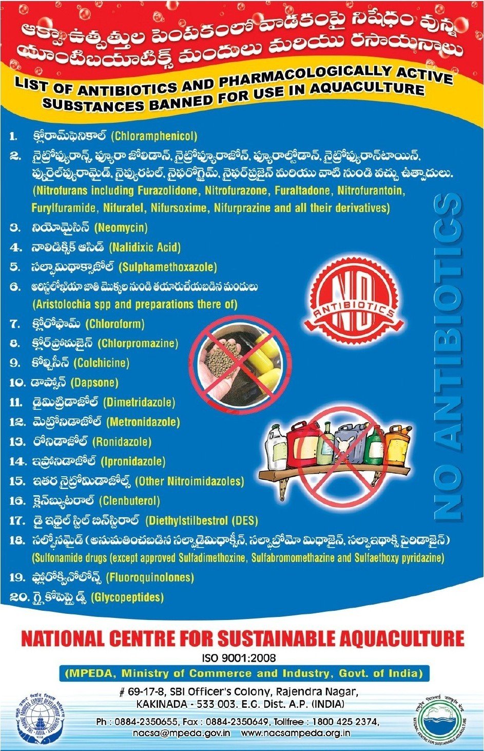 Antibiotic poster Bi-lingual